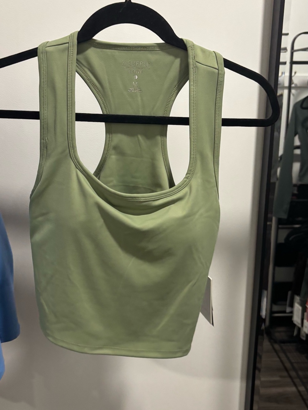 Z Supply Countryside Top in Sage Green